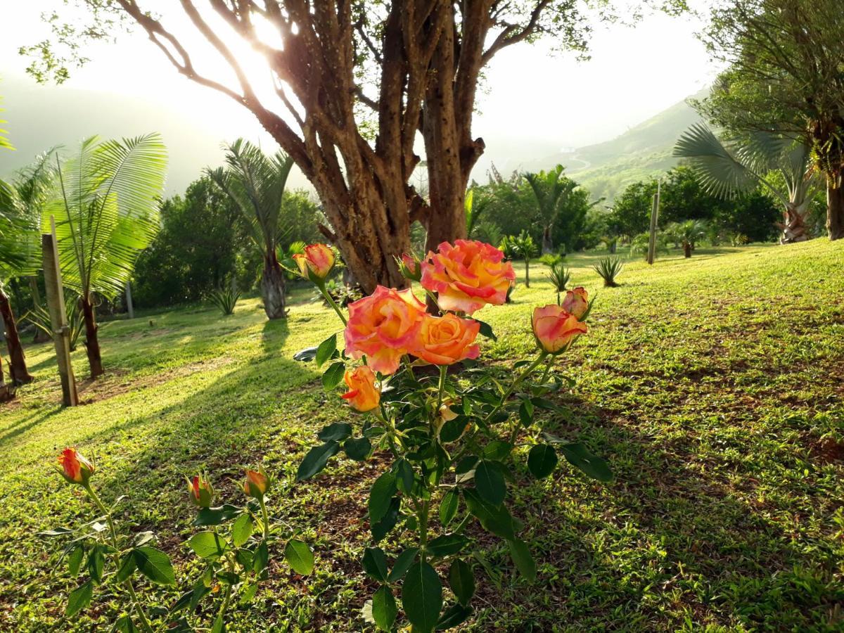 Casa/sítio na serra em Bom Jardim - RJ Exterior foto